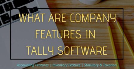 What are the Company Features in Tally Accounting Software?