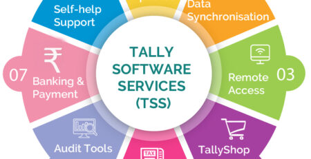 Tally Software Services (TSS)
