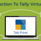 Virtual Use of TallyPrime
